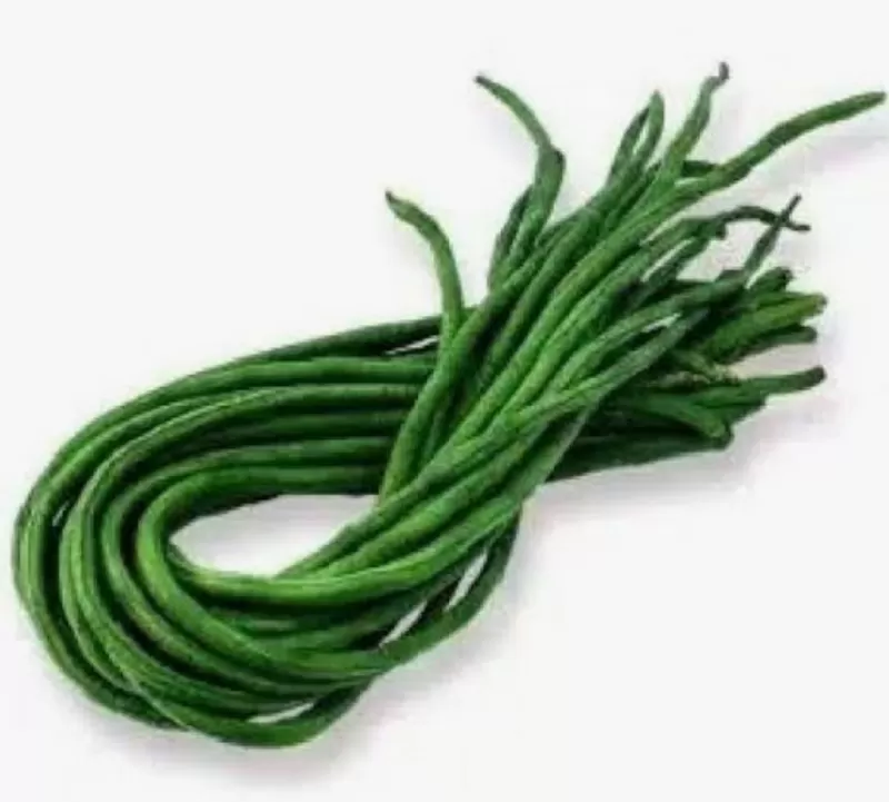 Kacang Panjang / ikat